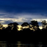 Viaje al Amazonas