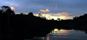 Viaje al Amazonas