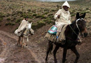 Viajandos sobre mulas en el Alto Atlas
